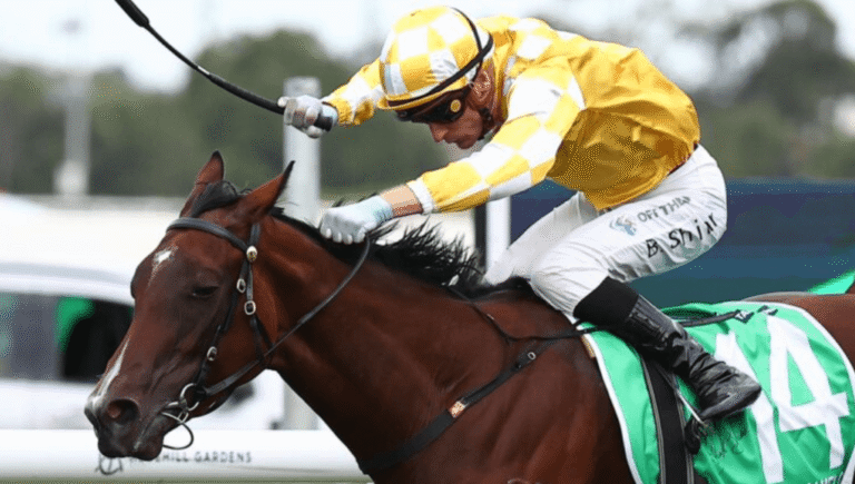 Horse Racing Jockeys: The Unsung Heroes of the Track