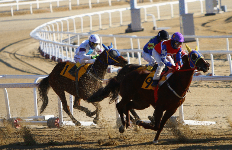 Horse Racing Terminology Explained: A Guide for New Fans